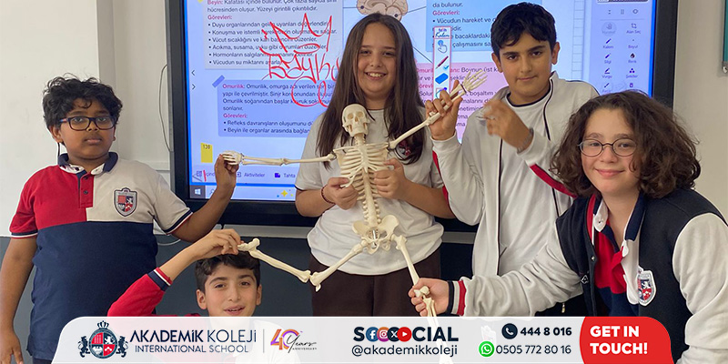 6. Sınıfta Sinir Sistemi: Model Üzerinde Uygulamalı Ders