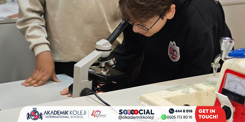 Mikroskopla Canlılar Dünyası