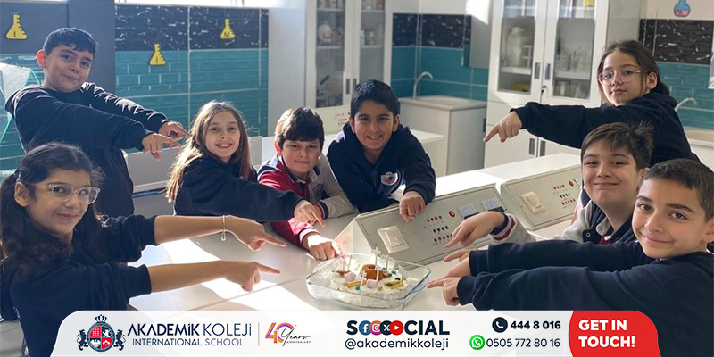 Organel Pastasıyla Hayvan Hücresi Keşfi – 5. Sınıf