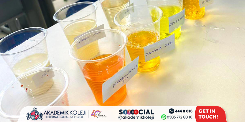 Turnusol Kâğıdı ile Asit-Baz Gözlemi: 8. Sınıf Deneyi