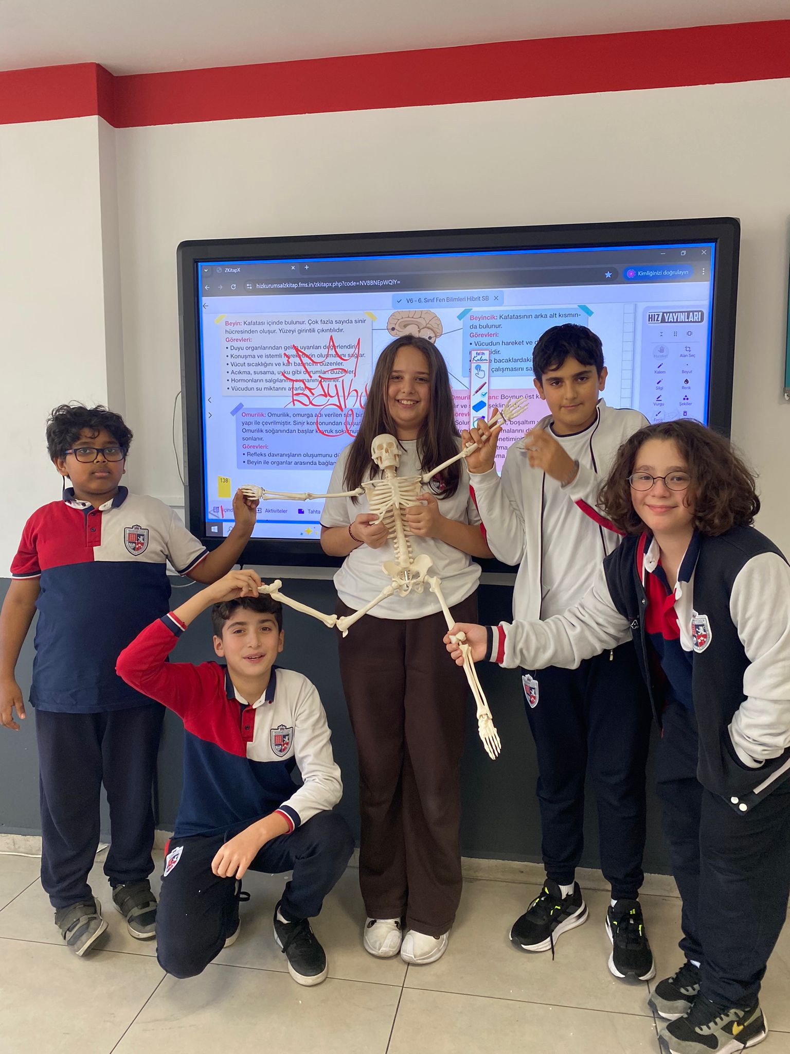 6. Sınıfta Sinir Sistemi: Model Üzerinde Uygulamalı Ders