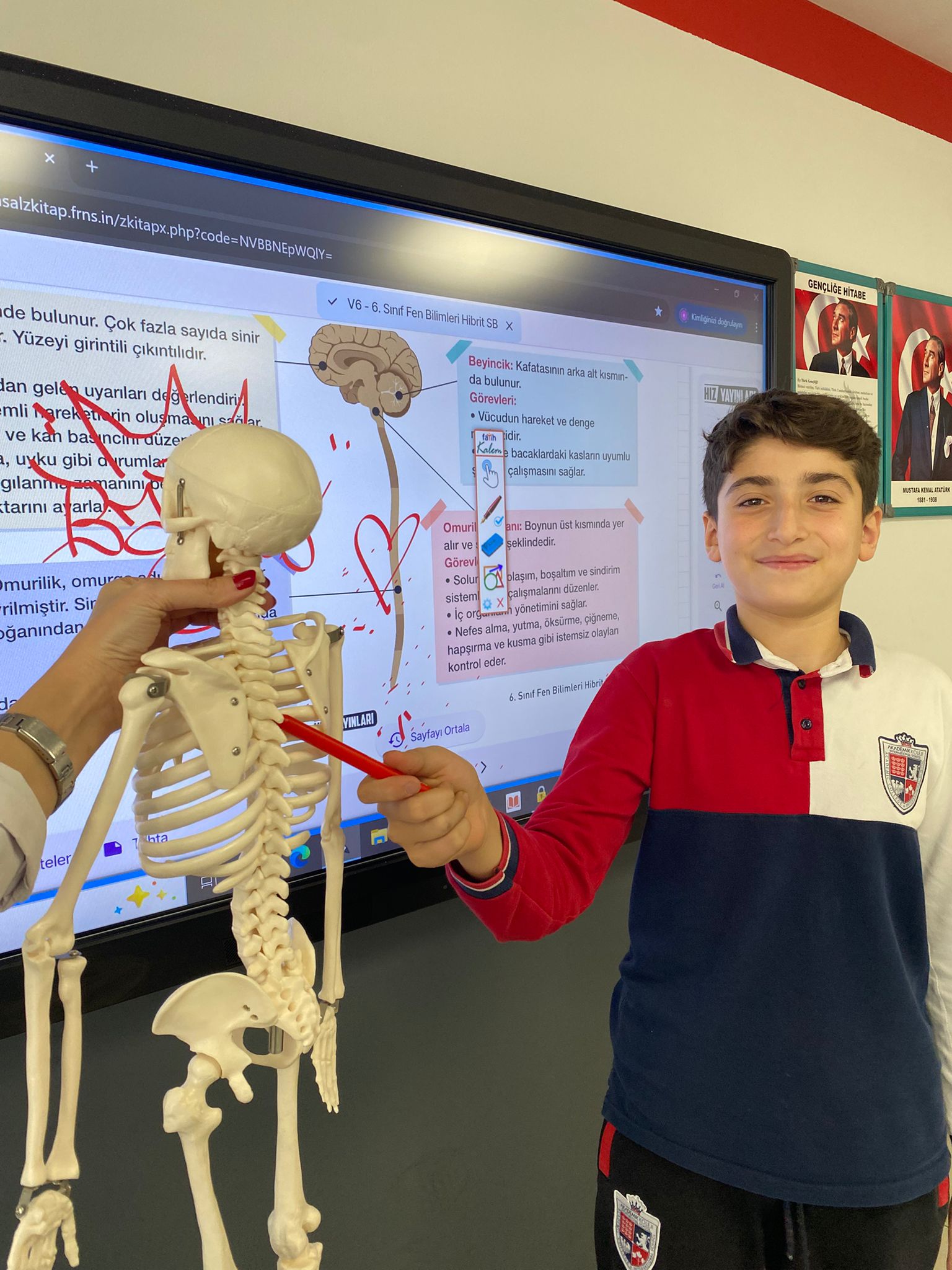 6. Sınıfta Sinir Sistemi: Model Üzerinde Uygulamalı Ders