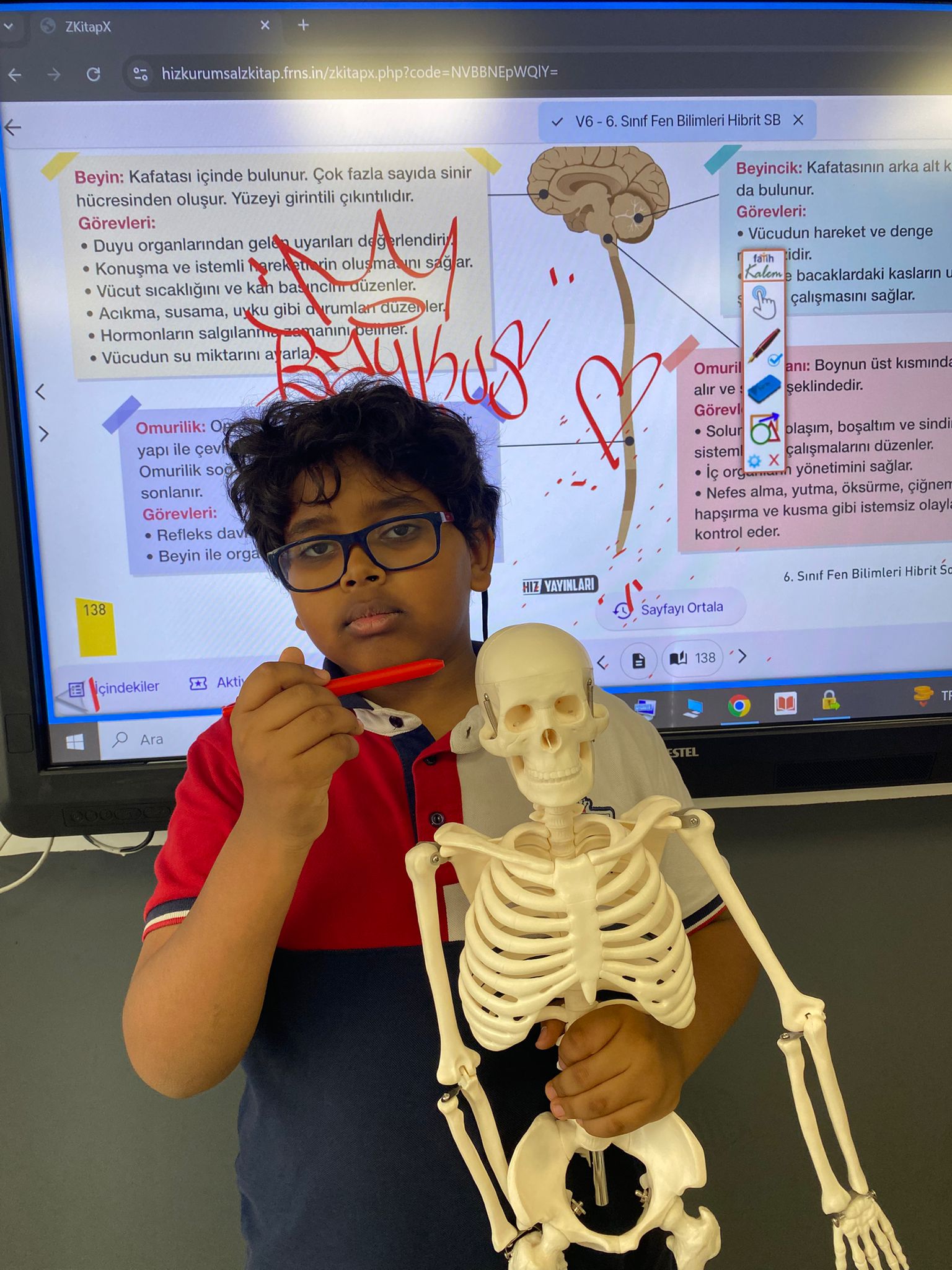 6. Sınıfta Sinir Sistemi: Model Üzerinde Uygulamalı Ders