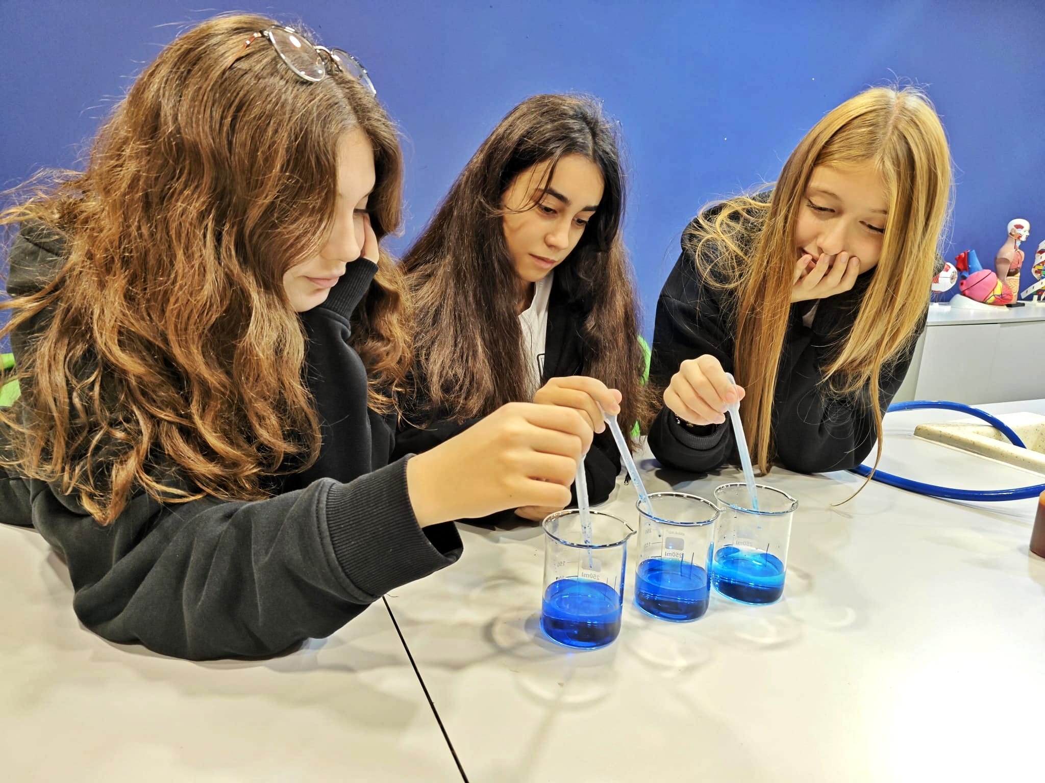 Biyoloji Dersinde Difüzyon Deneyi: Bilimsel Yöntemle Öğrenmenin Heyecanı Biyoloji Dersinde Difüzyon Deneyi: Bilimsel Yöntemle Öğrenmenin Heyecanı