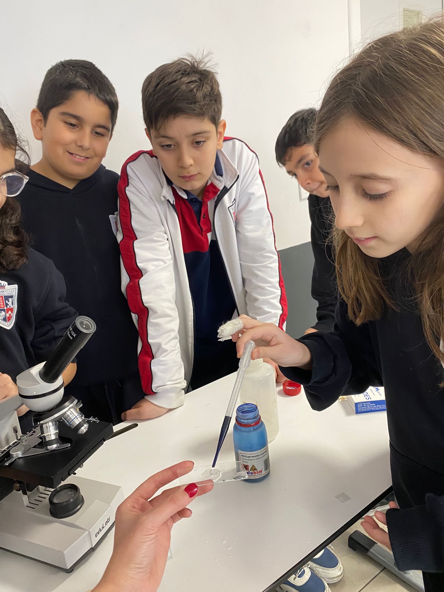 5. Sınıflar ile Mikroskopta Bitki ve Hayvan Hücreleri Gözlemi