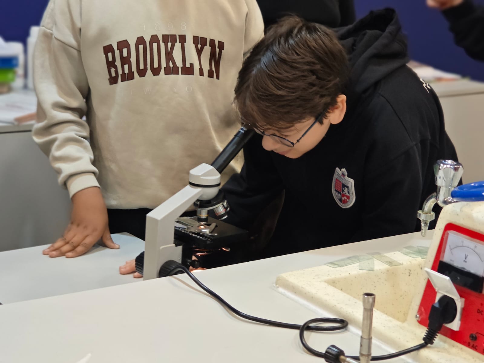 Mikroskopla Canlılar Dünyası