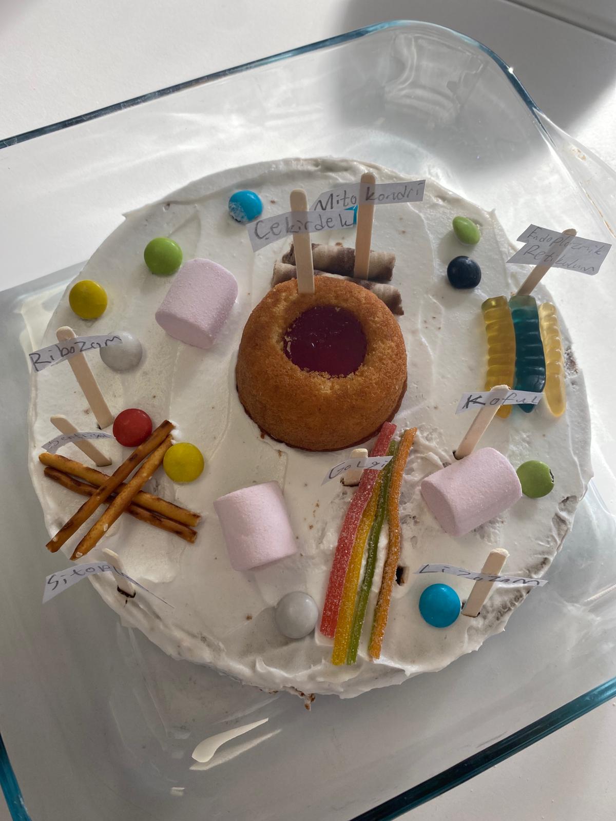 Organel Pastasıyla Hayvan Hücresi Keşfi – 5. Sınıf