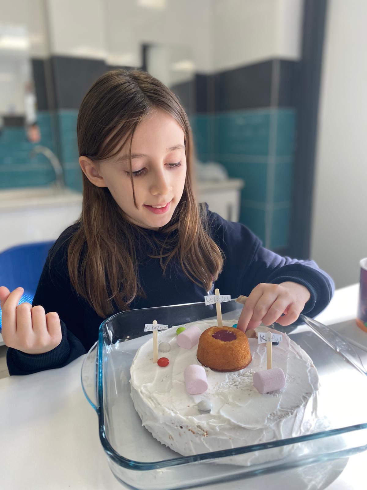 Organel Pastasıyla Hayvan Hücresi Keşfi – 5. Sınıf