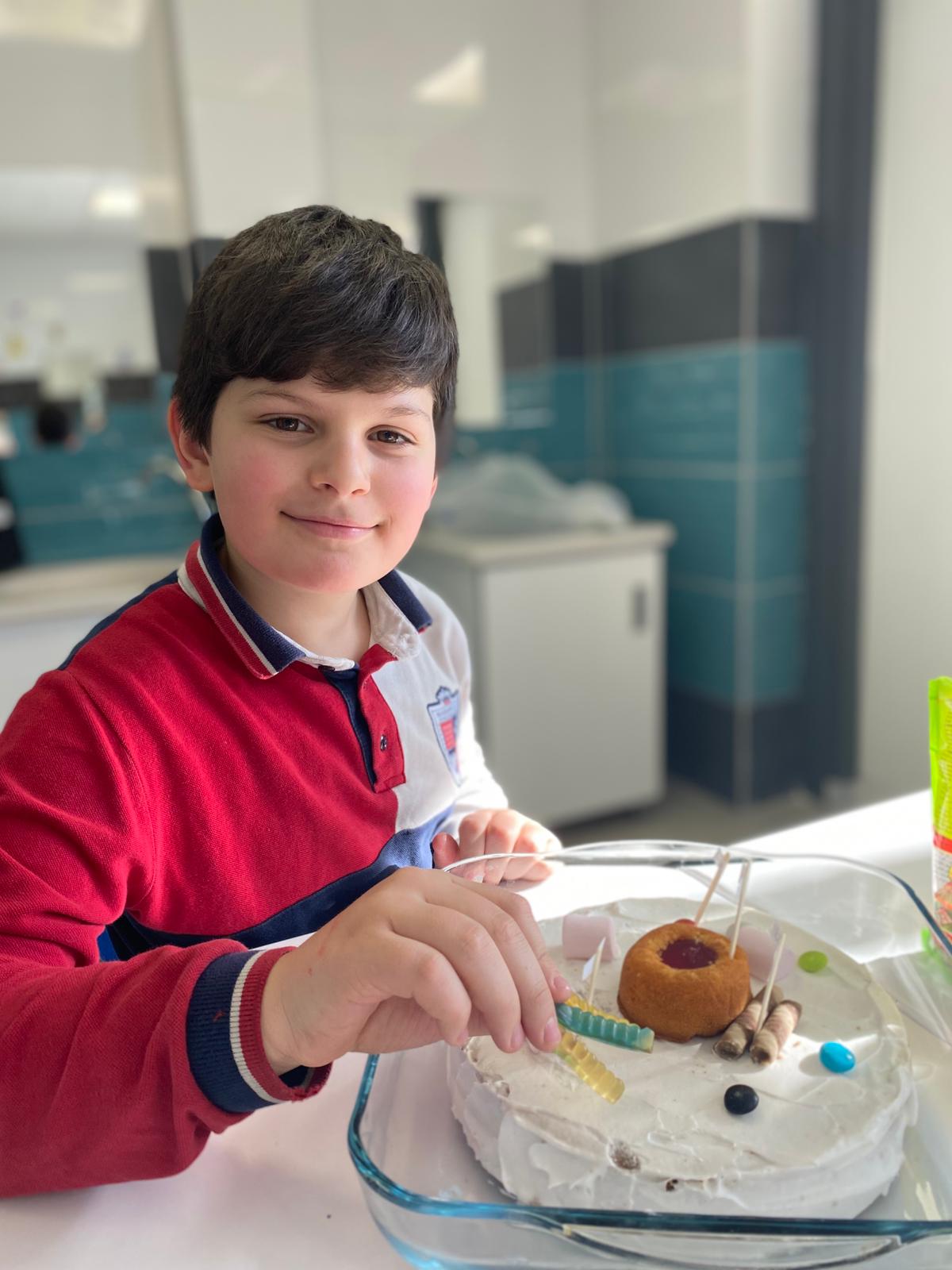 Organel Pastasıyla Hayvan Hücresi Keşfi – 5. Sınıf