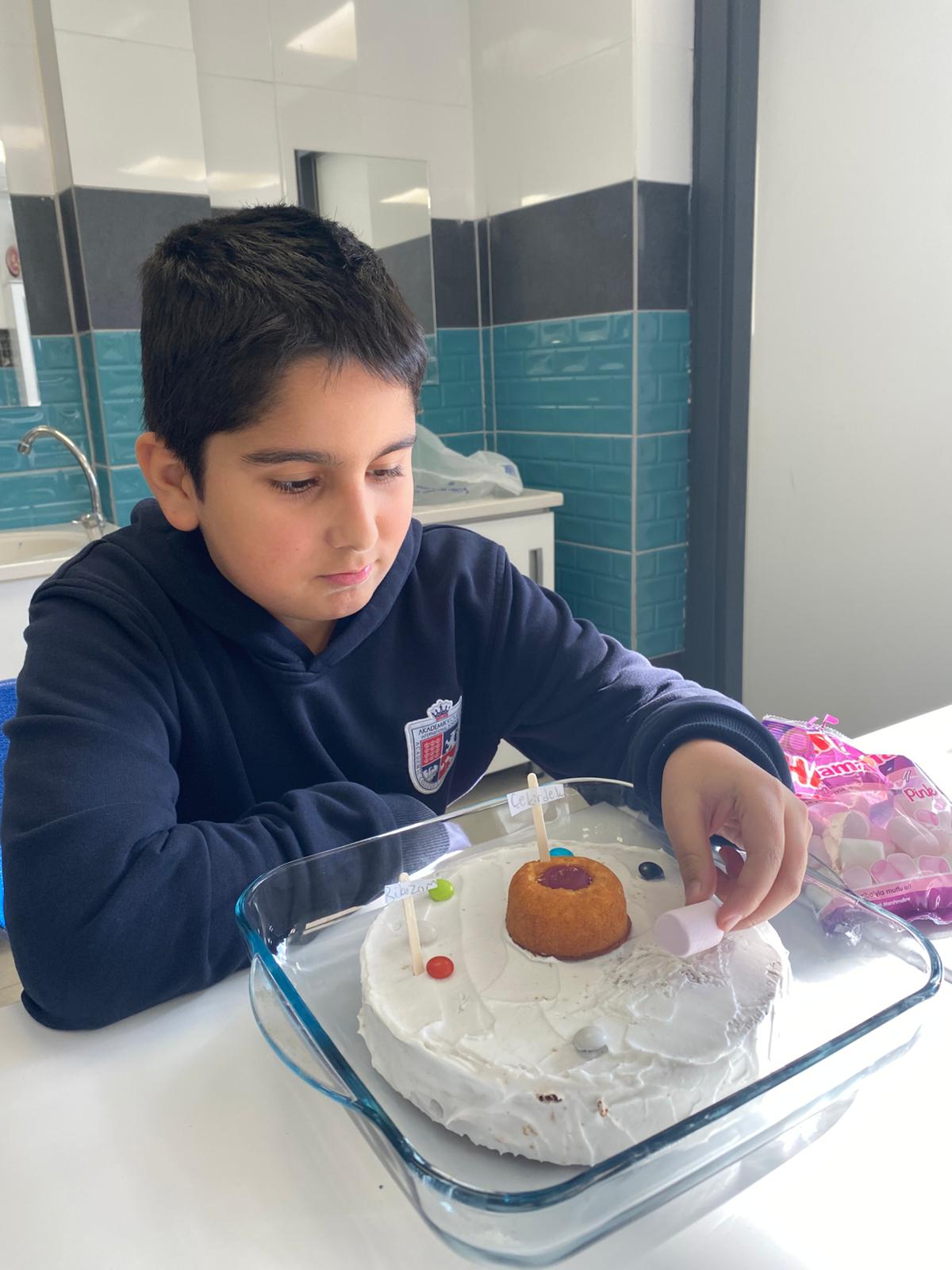 Organel Pastasıyla Hayvan Hücresi Keşfi – 5. Sınıf