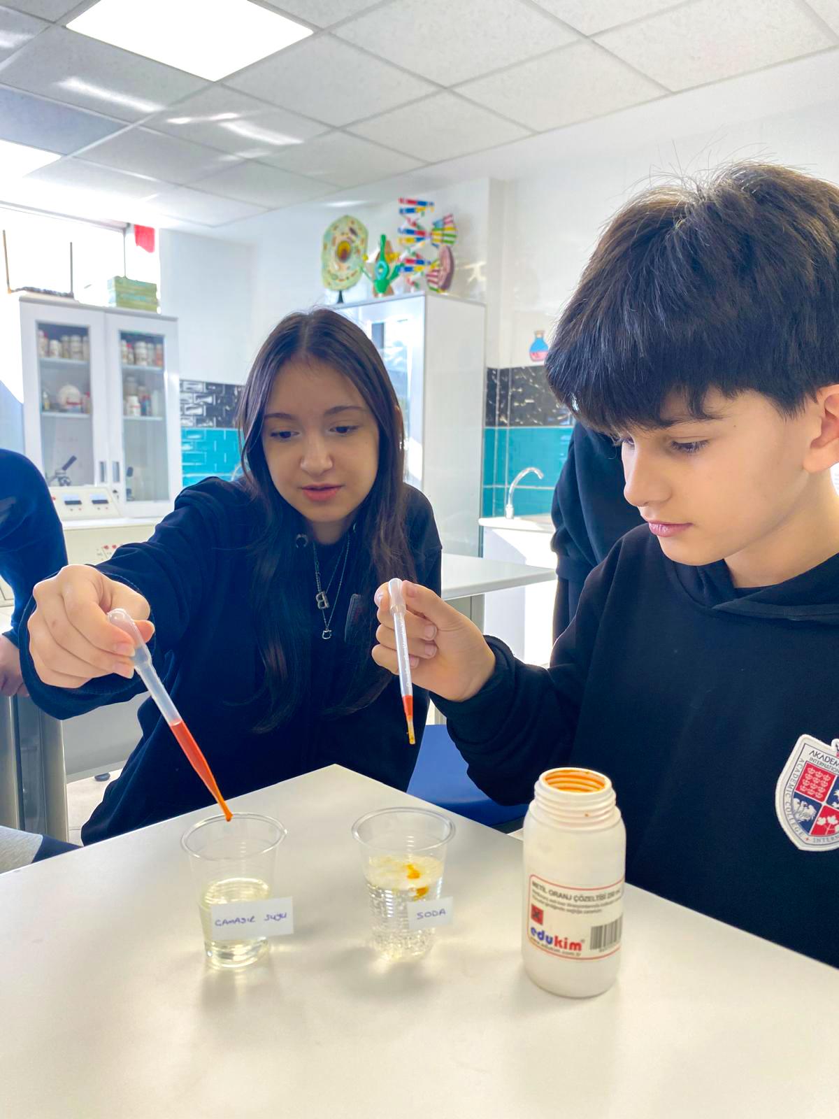 Turnusol Kâğıdı ile Asit-Baz Gözlemi: 8. Sınıf Deneyi