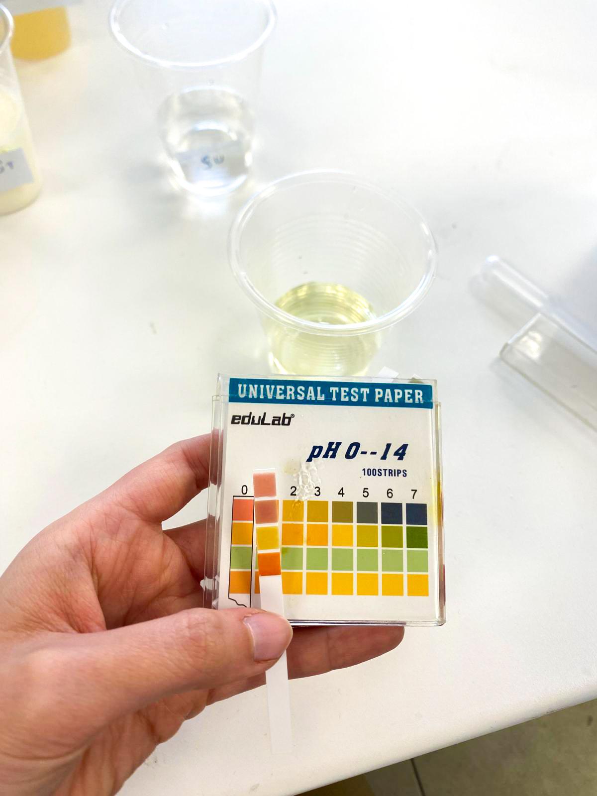 Turnusol Kâğıdı ile Asit-Baz Gözlemi: 8. Sınıf Deneyi