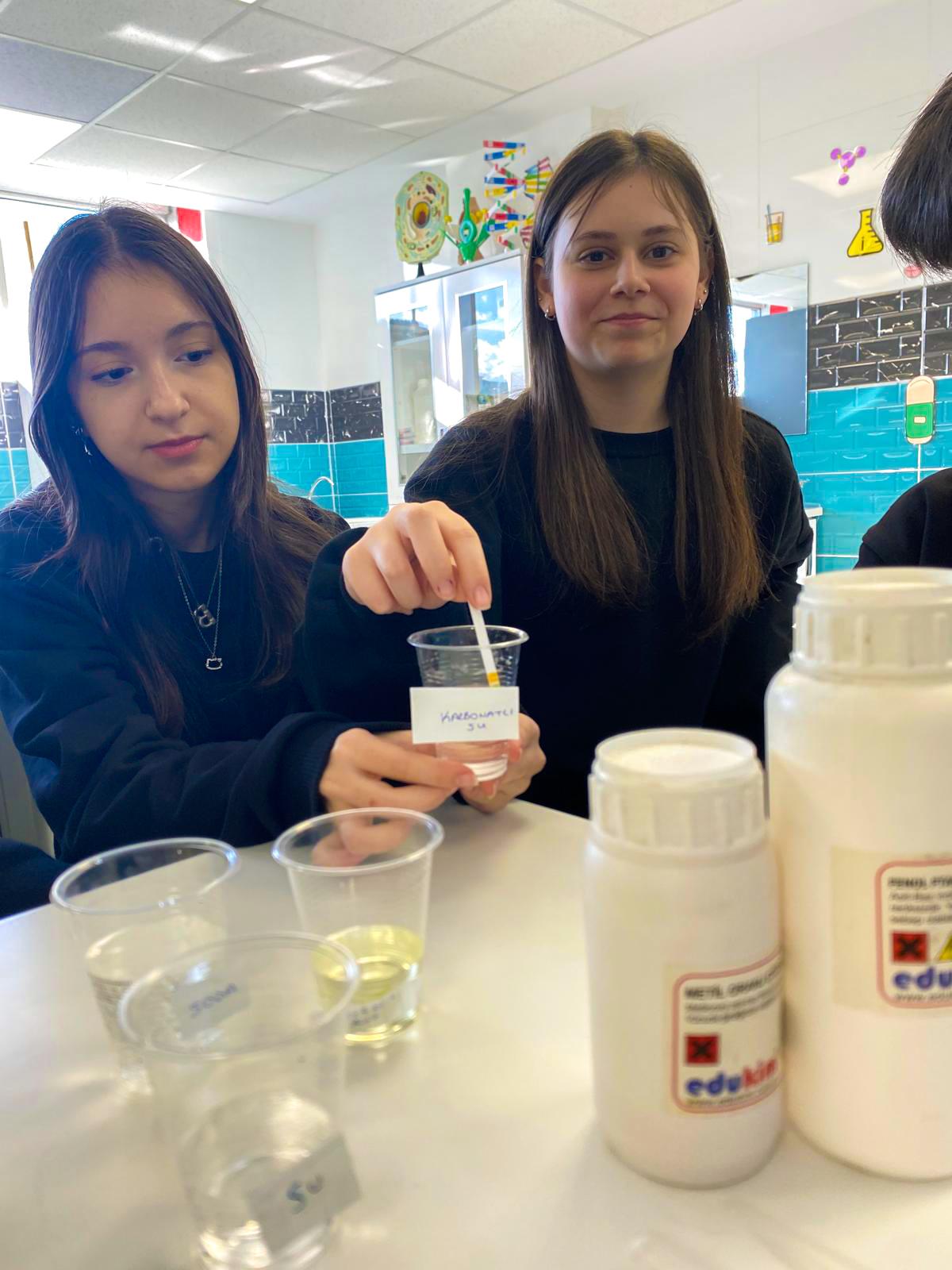 Turnusol Kâğıdı ile Asit-Baz Gözlemi: 8. Sınıf Deneyi