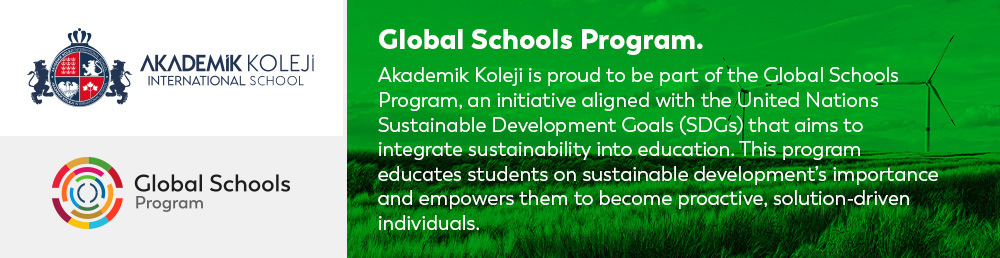 Akademik Koleji