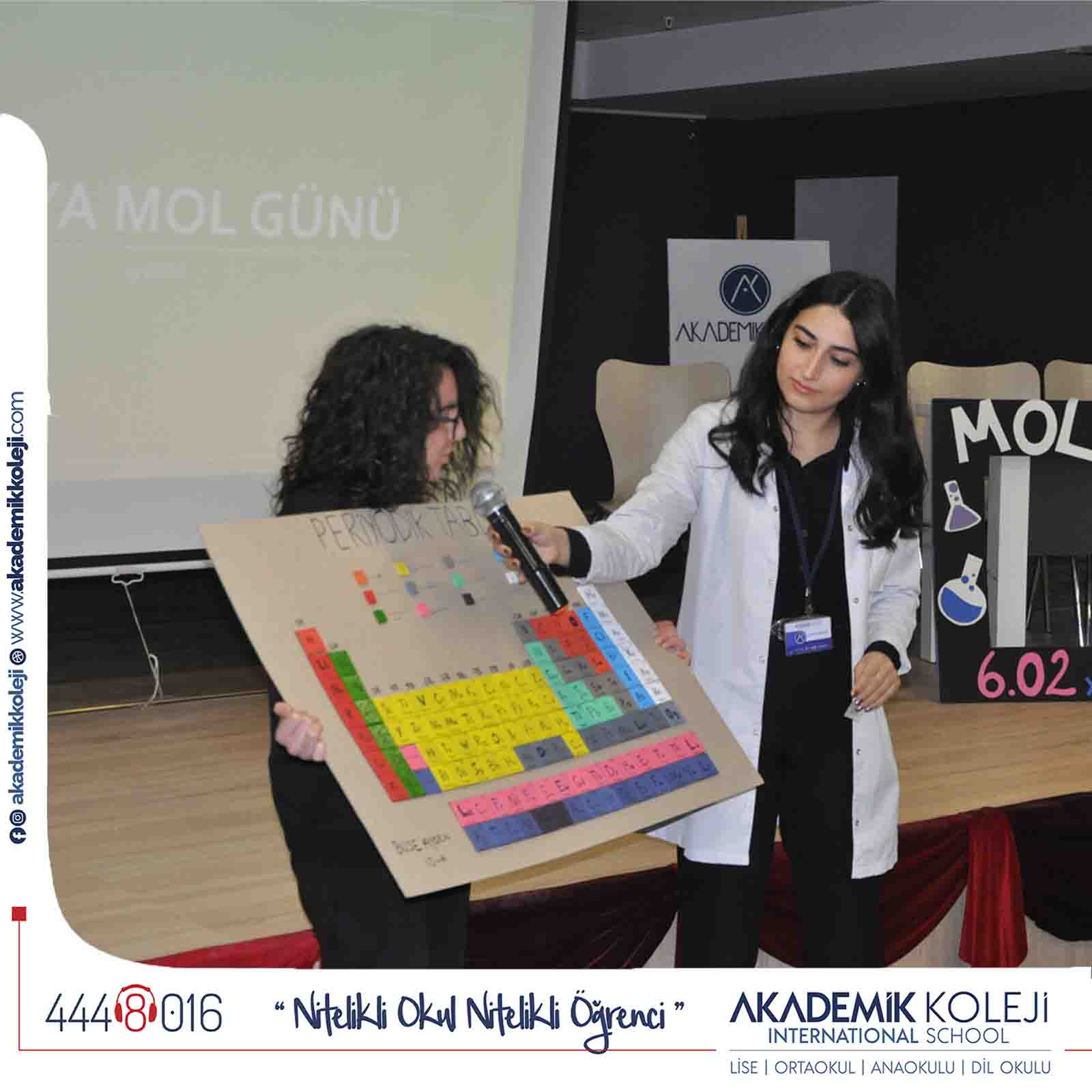 Dünya Mol Günü Dünya Mol Günü