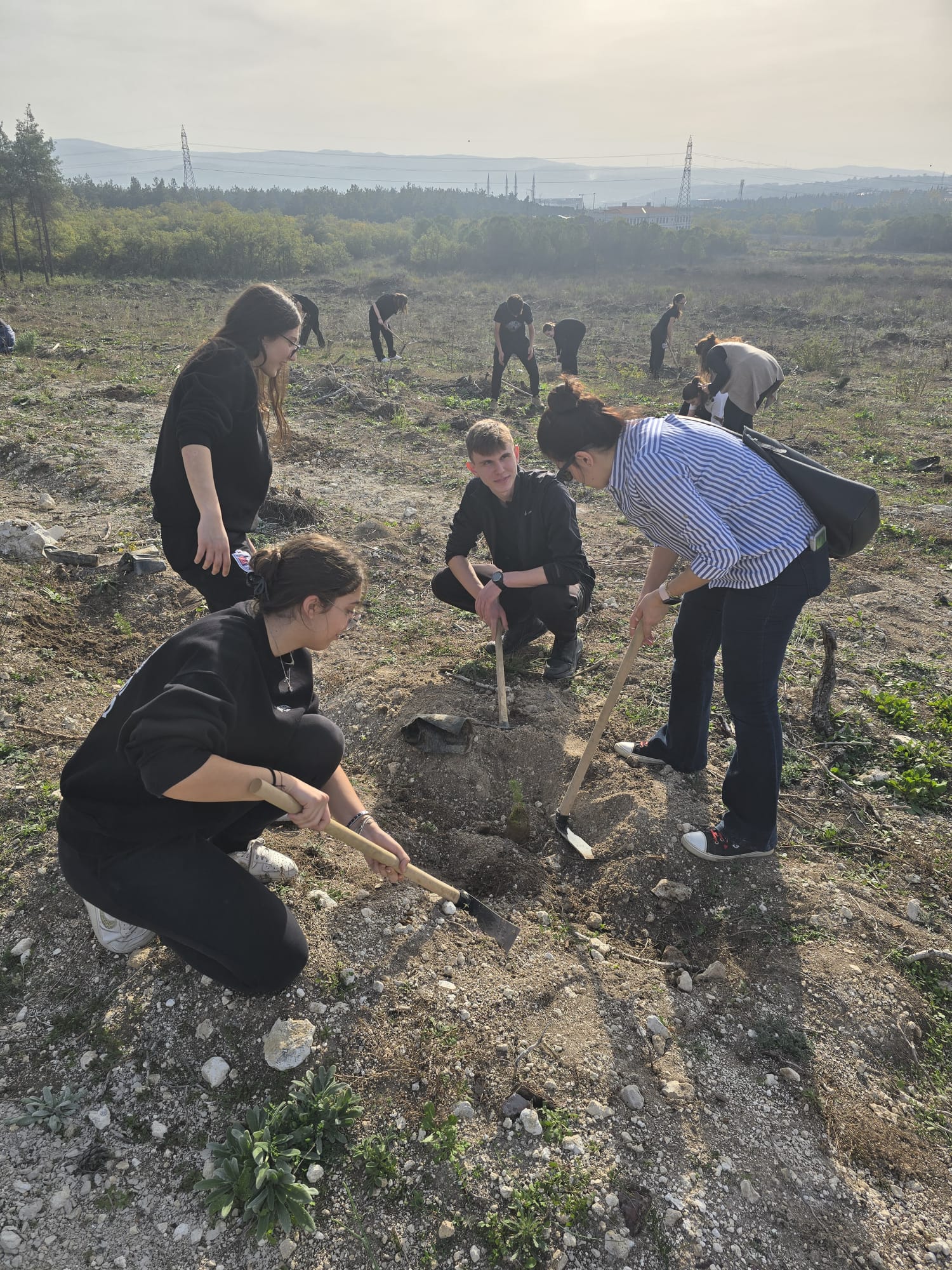 Uludağ Üniversitesi'nde Yeşil Vatan Seferberliği Fidan Dikme Etkinliği