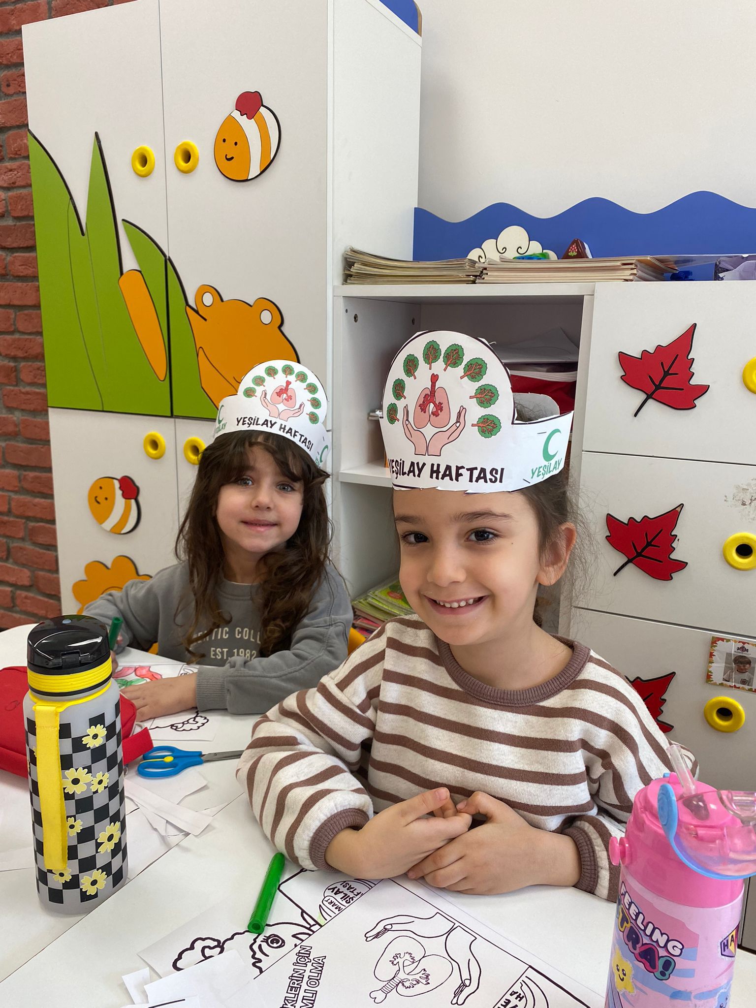 Okul Öncesi Rehberlik Dersinde Sağlıklı Yaşam Bilinci