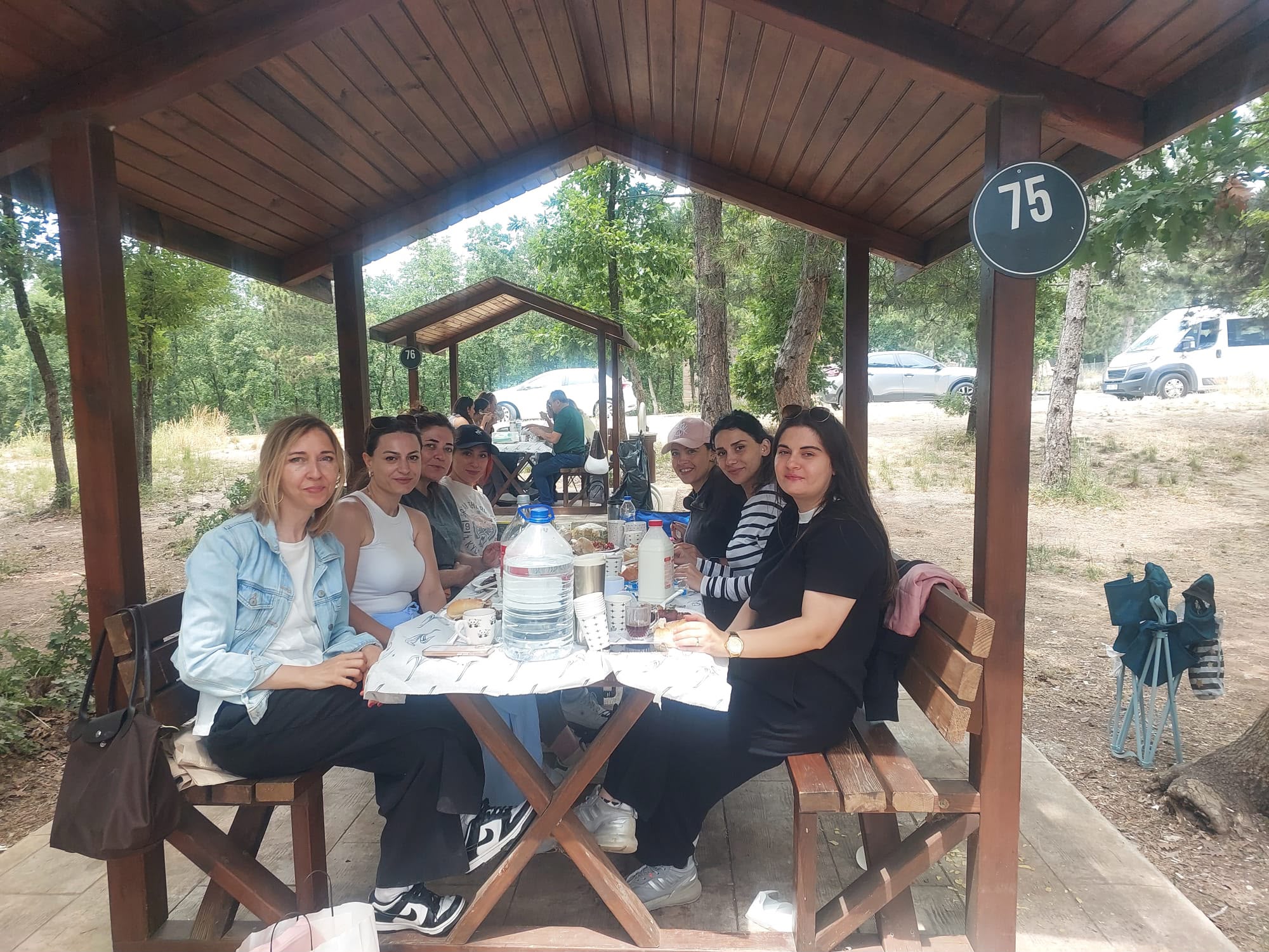 Dağyenice'de Doğa İle İç İçe Piknik