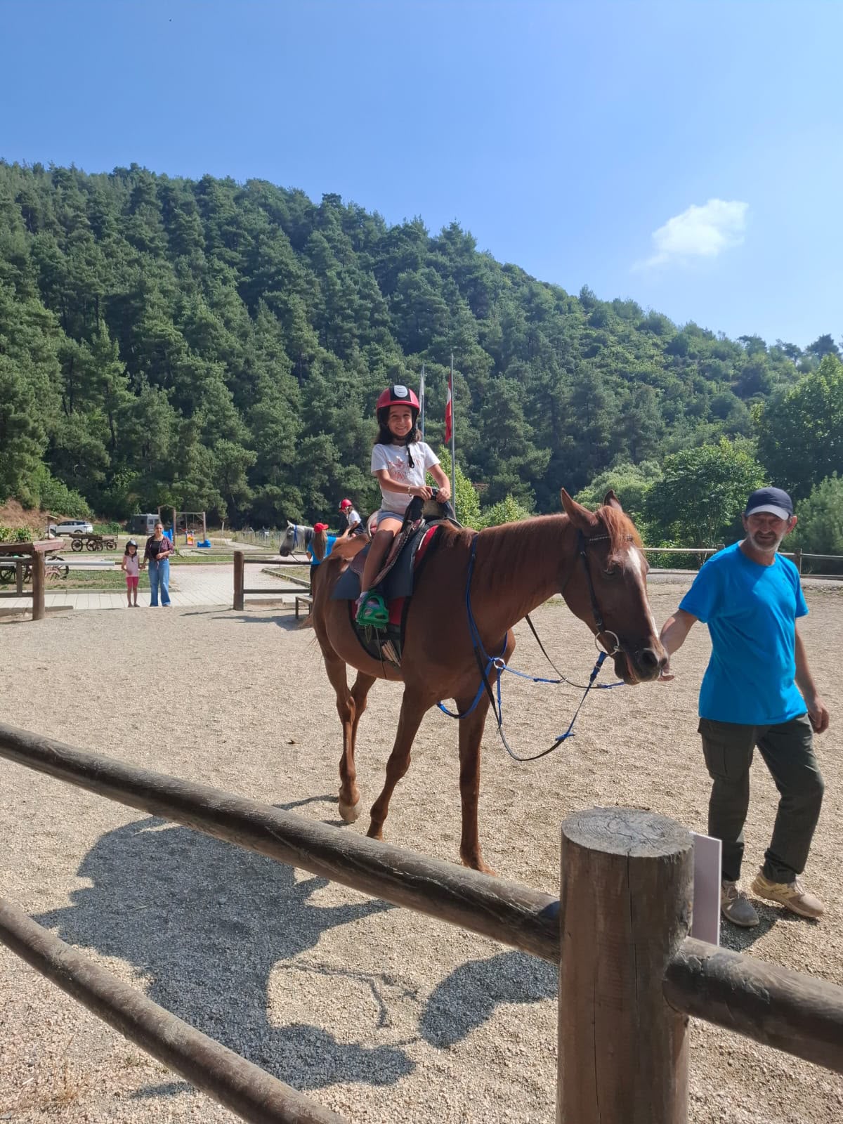 At Binme Deneyimi | Yaz Okulu 2026